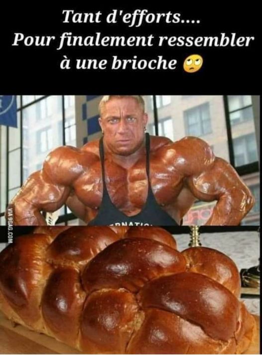 blague   tant d'éffort pour finalement ressembler à une brioche