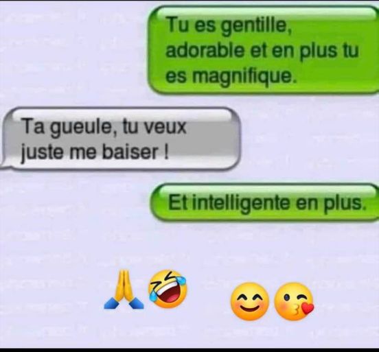 Blague   un homme dit à une femme   tu es gentille adorable et en plus tu es magnifique   et la femme dit ta gueule tu veux me baiser