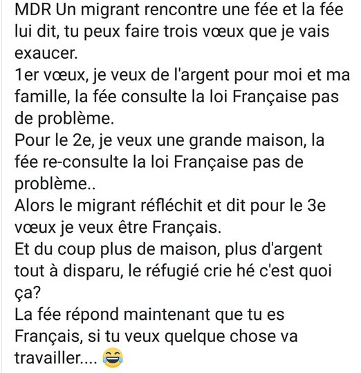 Blague   un migrant rencontre une fée et la fée lui dit tu as le droit à 3 voeux
