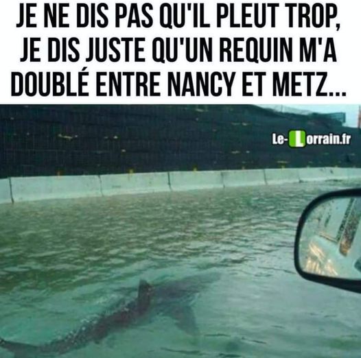 Blague   un requin m'a doublé entre nancy et metz