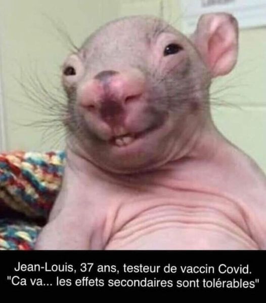 Blague   vaccin   jean louis 37 ans testeur vaccin covid
