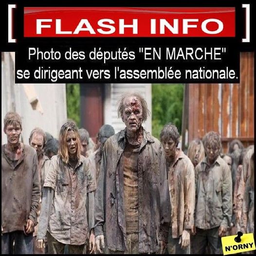 Blague   vaccin   les députés d'en marche se dirigeant vers l'assemblée nationale