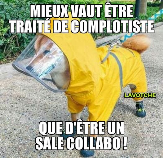 Blague   virus   mieux vaut être complotiste que d'être un sale collabo