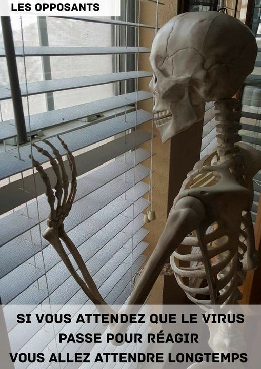 Blague   virus   si vous attendez que le virus passe pour réagir vous allez attendre longtemps