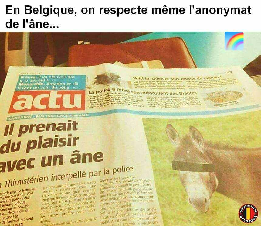 Blague   zoophilie   il prenait du plaisir avec un ane   en belgique on respecte meme l'anonymat de l'ane