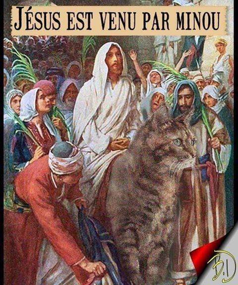 blague jesus est venu par minou