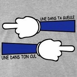 bras d'honneur un dans ton cul et un dans ta gueule