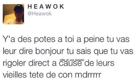 Humour   il ya de spotes a peine tu va leur dire bonjour que tu vas rigoler avec leur vieille tete de cons