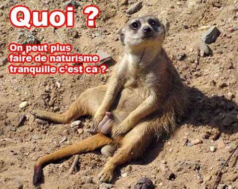 Humour   quoi on n'a plus le droit de faire du naturisme