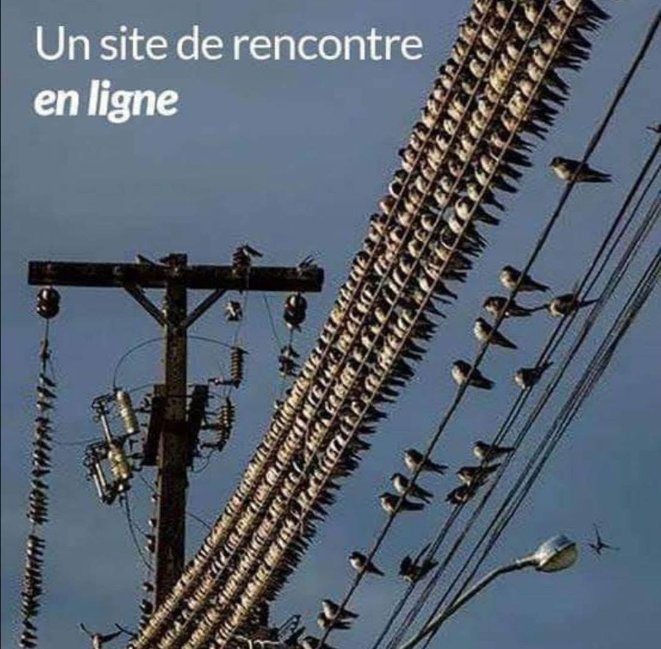 Jeux de mot et d'image   caricature   blague   un site de rencontre en ligne