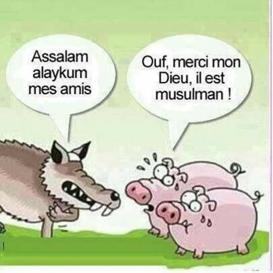le loup dit salam mes amis les cochons disent ouf un musulman