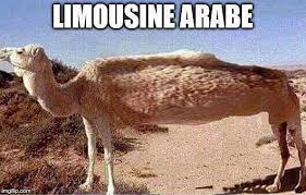 Limousine arabe