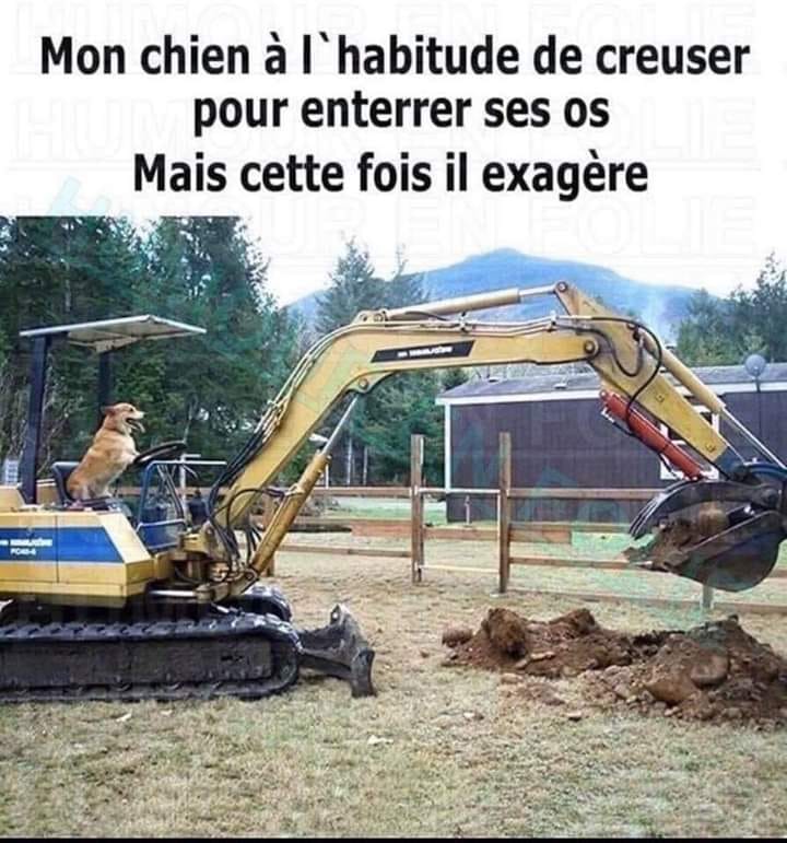 Blague   Jeux d'image et de mot   chien   mon chien à l'habitude de creuser pour enterrer ses os mais cette fois il exagère