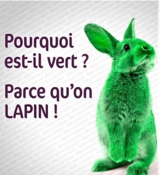 Blague   jeux de mot  et d'image   pourquoi il est vert parce qu'on lapin
