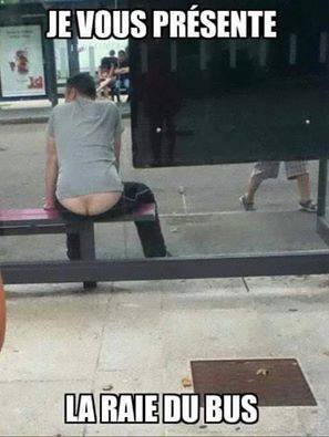 Blague   jeux de mot et d'image   je vous présente la raie du bus