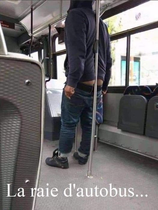 Blague   jeux de mot et d'image   la raie d'autobus