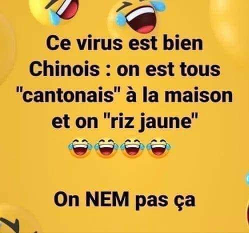 blague   jeux de mot   ce virus est bien chinois,on est tous cantonais à la maison et on riz jaune on nem pas çà