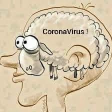 Virus   caricature   mouton dans la tête du peuple