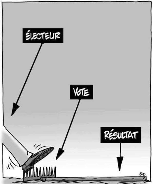 vote   caricature   électeur vote   résultat