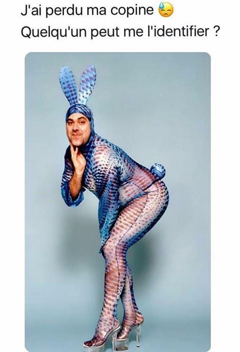 Humour   j'ai perdu ma copine quelqu'un peut m'aider ale retrouver