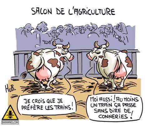 Agriclture   caricature   la vache dit a l'autre je crois je préfère les trains moi aussi au min ça passe sans dire de connerie