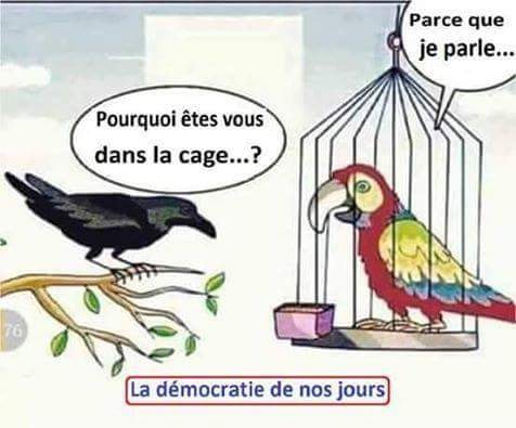 Caricature   2 oiseaux le corbeau dit au peroquet pourquoi tu es dans une cage le perroquet répond parceque je parle