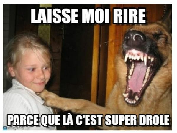 Caricature   chien   qui rit