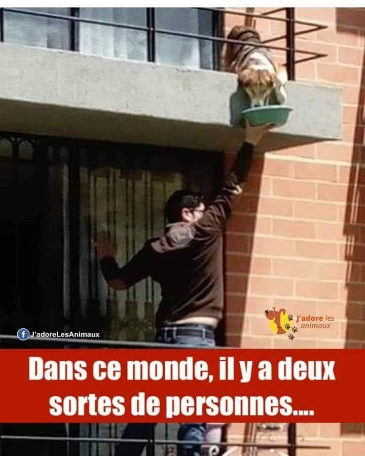 Caricature   dansce monde il y a 2 sortes de personnes ceux qui donne et ceux qui reçoit