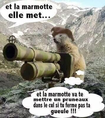 Caricature   et la marmotte va te mettre un pruneau dans le cul