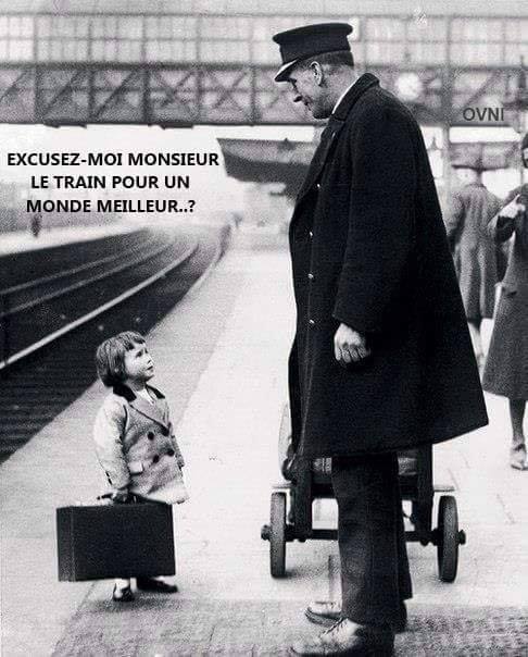 Caricature   excusez moi monsieur le train pour un monde meilleur