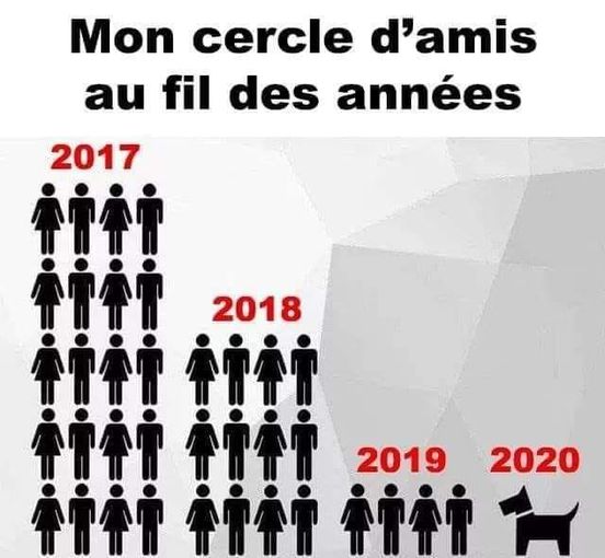 Caricature   famille   mon cercle d'amis au fil des années