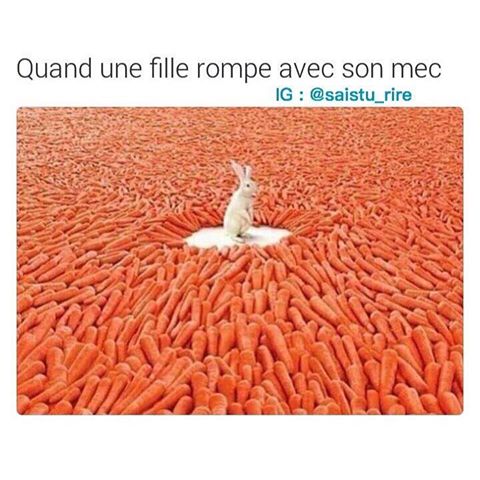 Caricature   femme   quand une femme quitte son homme