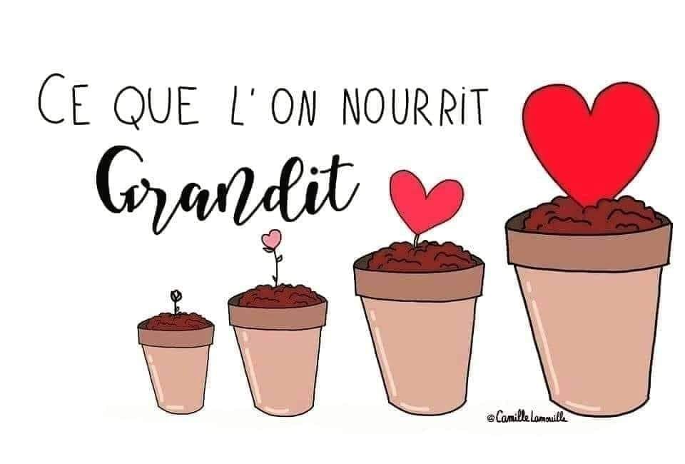 Caricature   flore   ce que l'on nourrit   fleur en forme de coeur dans pot qui grandit