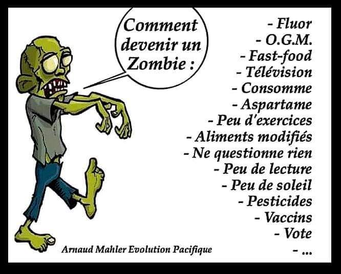 Caricature   fluor   ogm   fast food   télévsion   aspartame   peu d'exercice   aliment modifié   ne questionne rien   peu de lecture peu de soleil   pesticide   vaccin   vote
