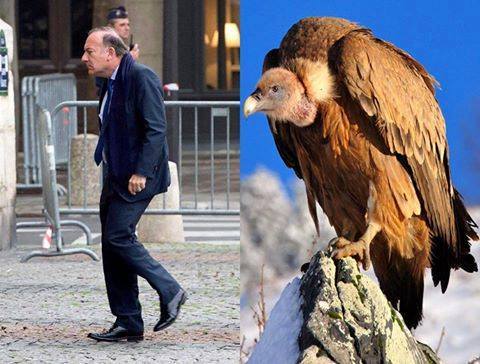 Caricature   gattaz = vautour