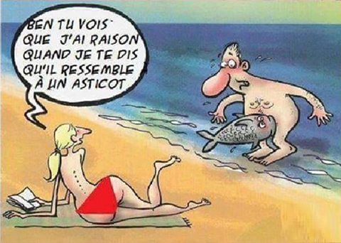 Caricature   je t'avais dit quand je te disais qu'il ressemblait à un asticots   à la plage poisson qui mord la queue