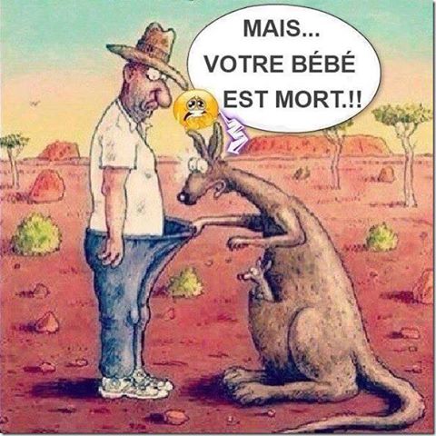 Caricature   kangourou qui dit à un homme votre bébé est mort