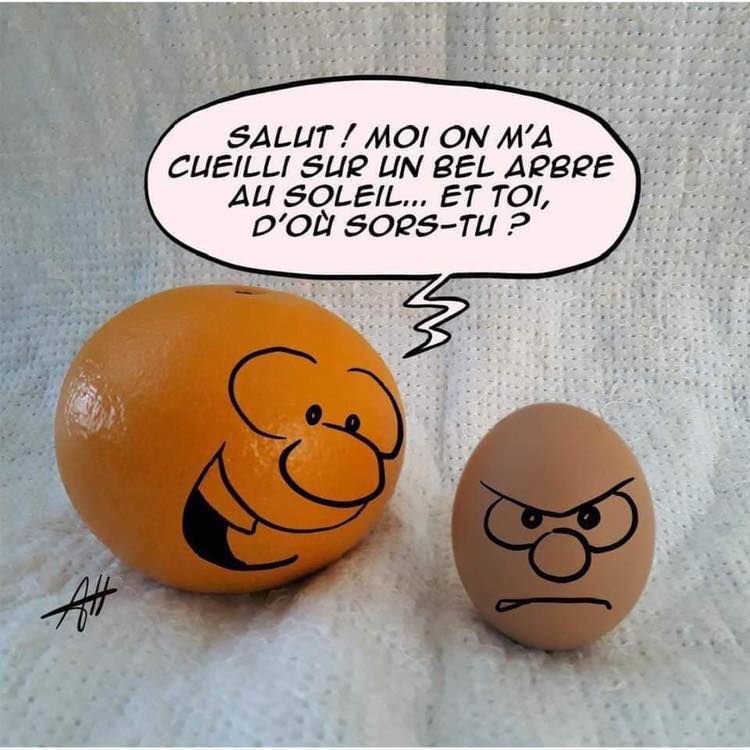 Caricature   l'orange dit a l'oeauf on ceuilli sur un belle arbre au soleil et toi d'ou sors tu