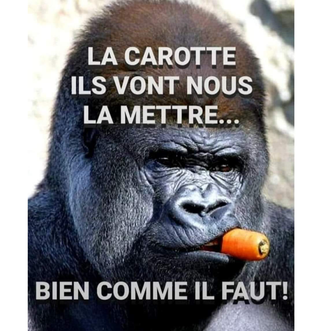 Caricature   la carotte ils vont nous lamettre bien comme il faut