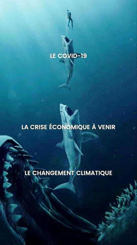 Caricature   le changement climatique   la crise économique à venir le covid 19