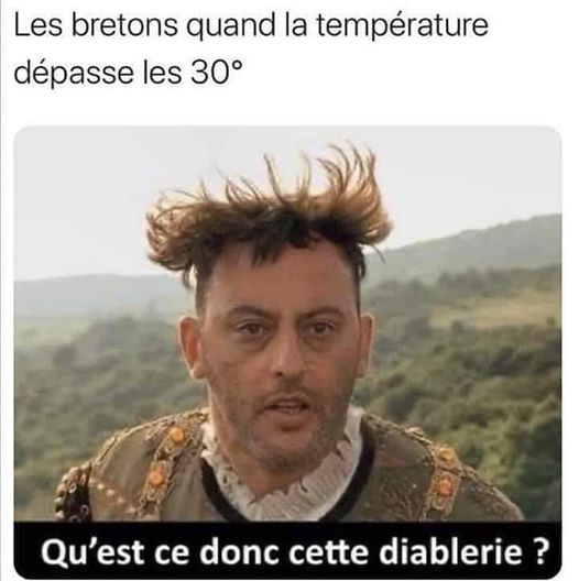 Caricature   les bretons quand la temprérature dépasse les 30 degré   qu'est ce donc cette diablerie   avec jean reno 
