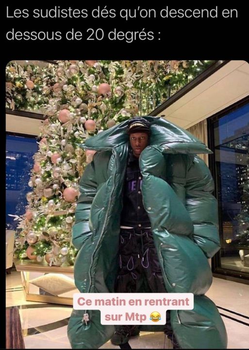 Caricature   les sudiste dès que ça descend en dessous de 20 degrés   personne avec gros gilet = doudoune