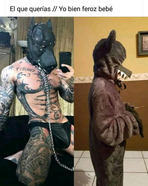 Caricature   loup   esclave