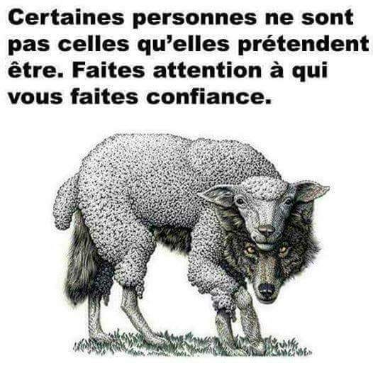 Caricature   loup déguisé en mouton   certaines personnes ne sont pas celles qu'elles prétendent être faite attention à qui vous faite confiance