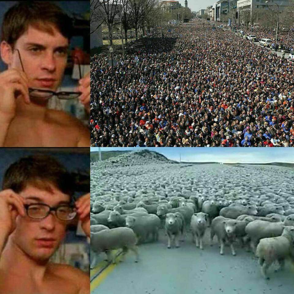 Caricature   manifestation   sans lunette il voit les manifestants avec lunettes il voit un troupeau de mouton