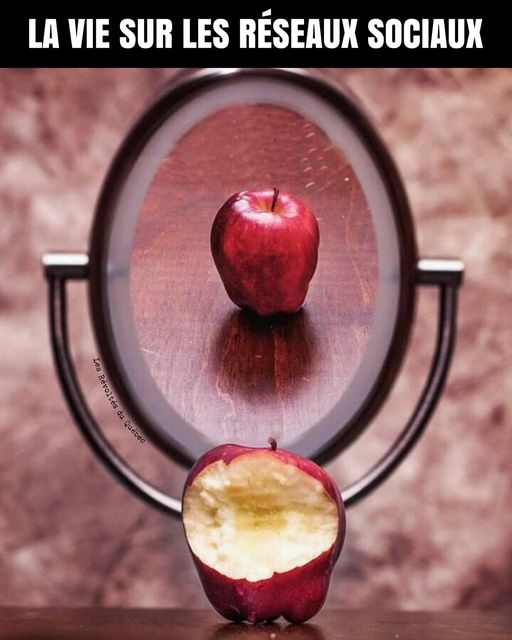 caricature   la vie sur les réseaux sociaux