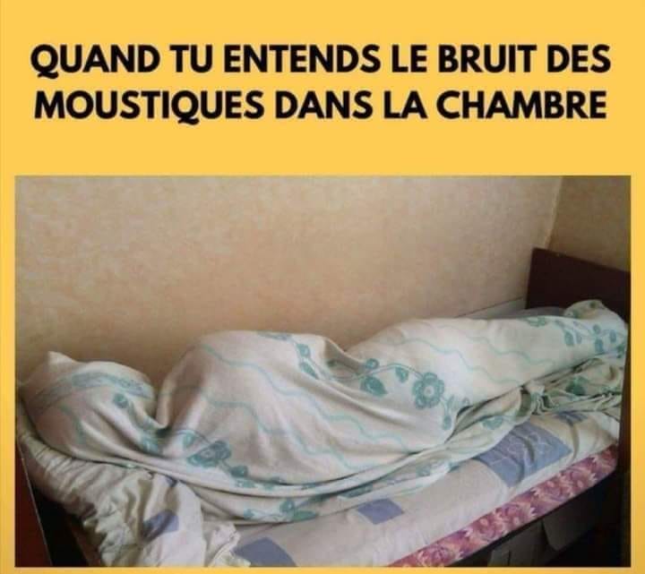 Caricature   personne dans draps   quand tu enends le bruit des moustiques dans la chambre