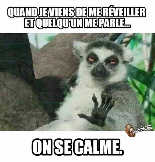 Caricature   quand je viens d eme révéiler et que quelqu'un me parle   on se calme