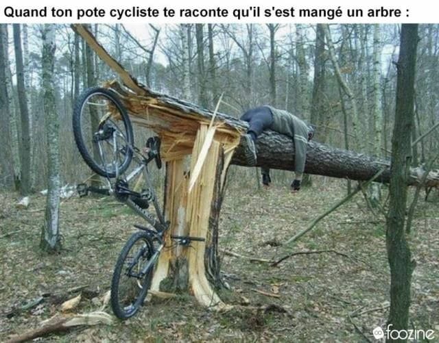 Caricature   quand ton pote te raconte qu'il s'est mangé un arbre