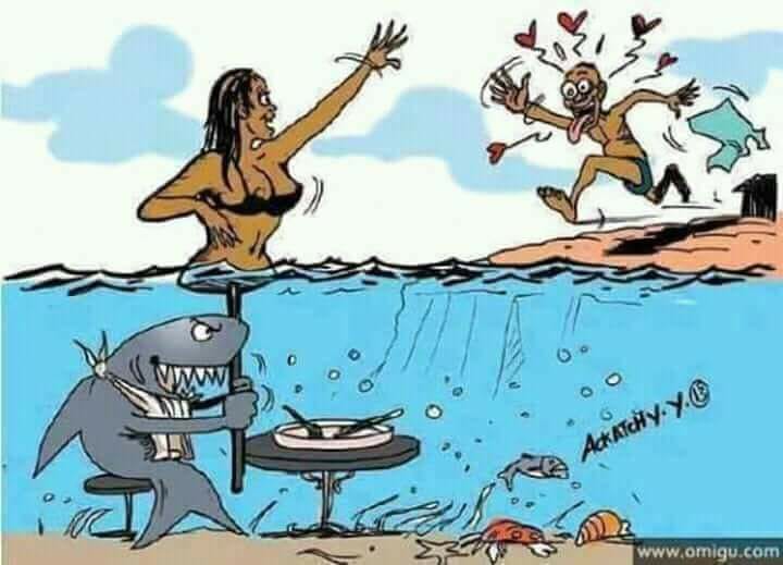 Caricature   requin qui se faitpasser our une femme dans l'eau et sauver qui se fait avoir
